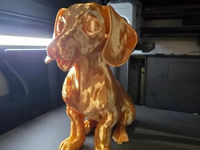 Miniature Dachshund sausage dog   