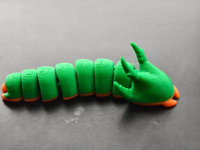 Little green dragon caterpillar, white-banded swallowtail butterfly larva, no supports