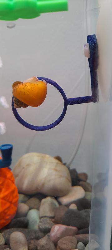 Hoop for fish tank/aquarium