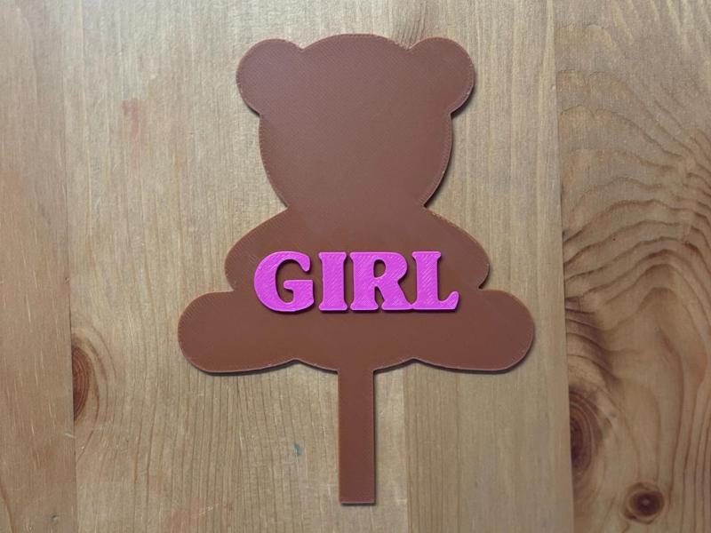 Teddy Bear Girl Cake Topper 