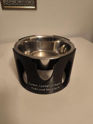 Feeding bowl holder for pets /Feeding bowl elevation/holder for Pets V1.1