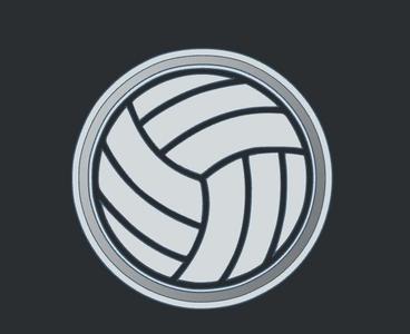 Volleyball - Freshie Mold Housing