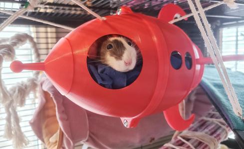 Rocket ship hanging pet hut
