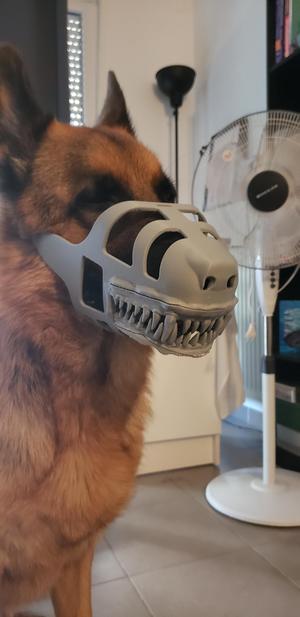 *****Muzzle dog . bosal *****