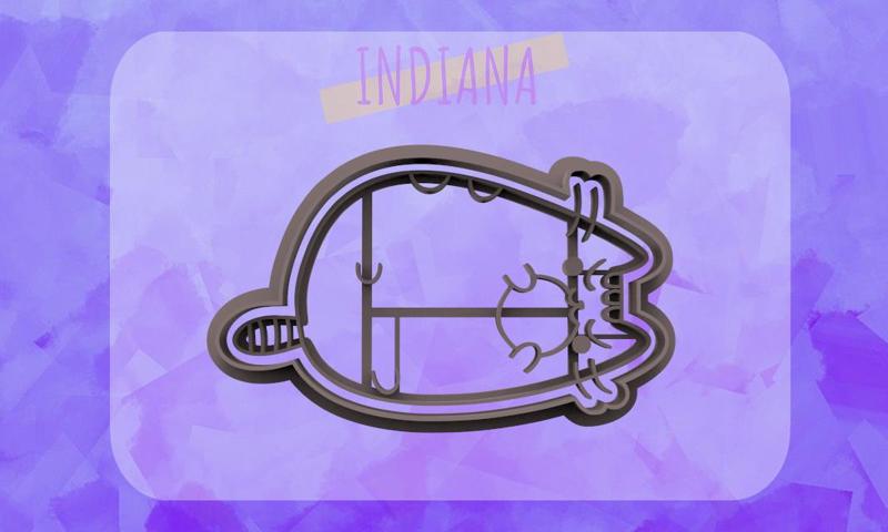 CORTANTE PUSHEEN CON PELOTA