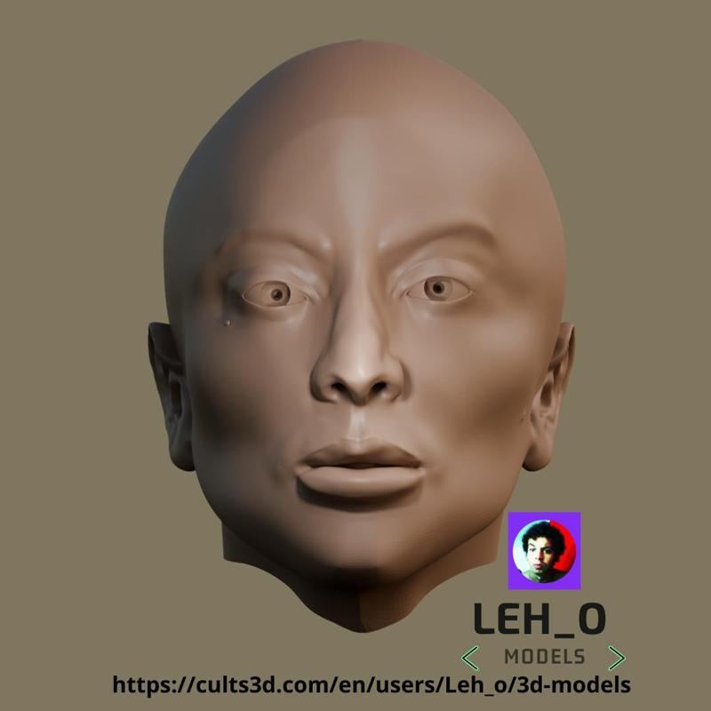 Lady gaga Head great to realistic Painting