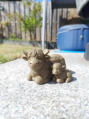 Mother highland cow with calf.