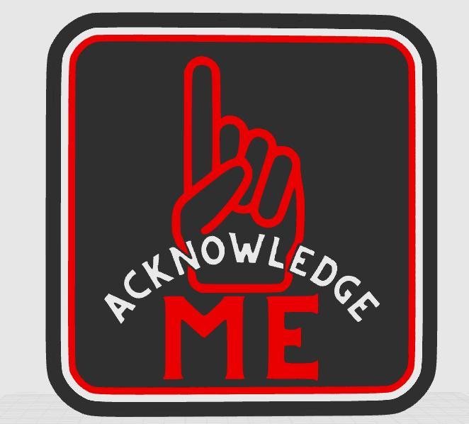 Roman Reigns Acknowledge Me