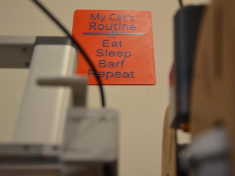 Cat Routine Poster