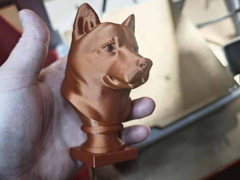 shiba inu bust 