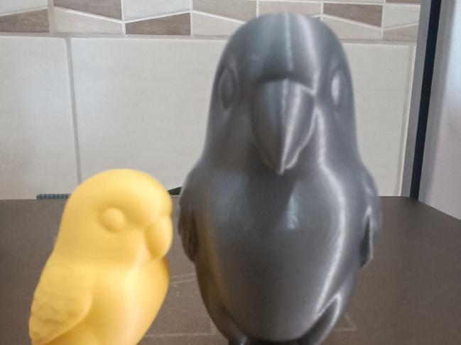 3DPrint Parrot Model argaponis Roseicollis Adult 