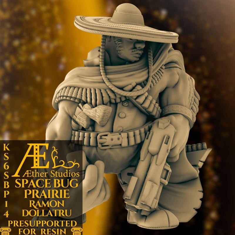 KS6SBP14 - Ramon Dollatru