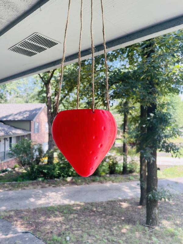 Strawberry Hanging Planter