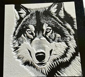The Wolf ( Inked and sketched painting ) 