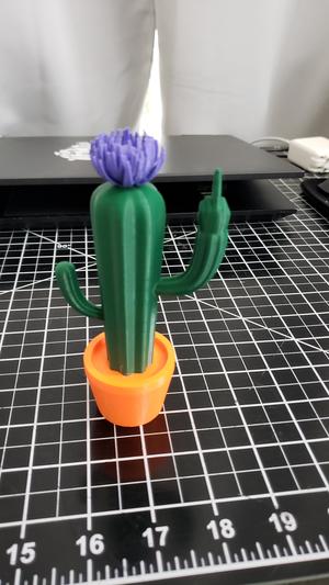 Fuccyoulent gag gift. (Remix from sfw cactus)