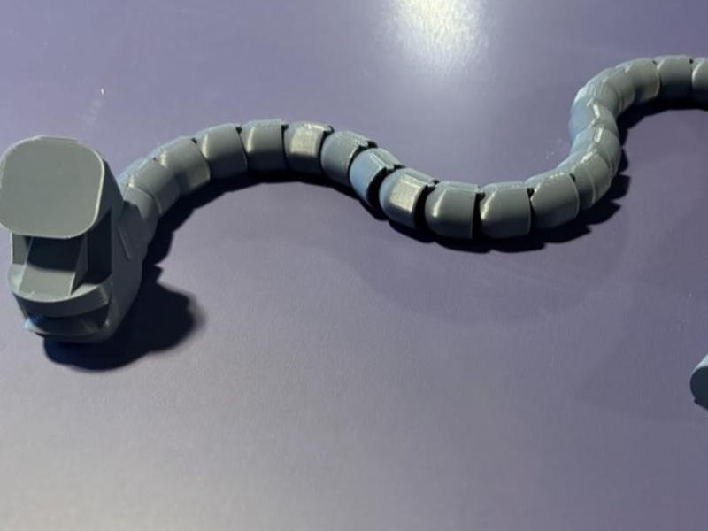 Moai Snake