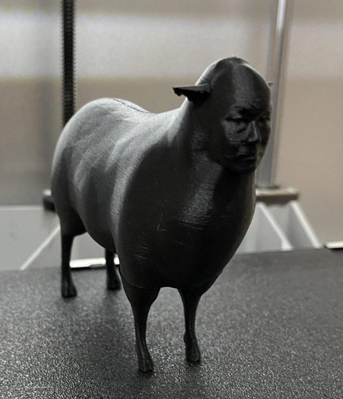 President of TECDIA covered by sheep skin