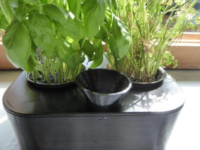 Plant watering system
