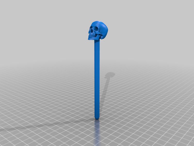 A Skull on a pen