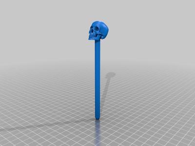 A Skull on a pen