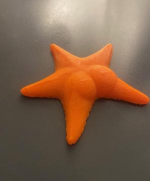 Big-ass star of the conicet (large)