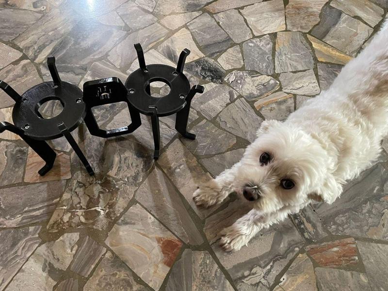 Elevated dog bowl station