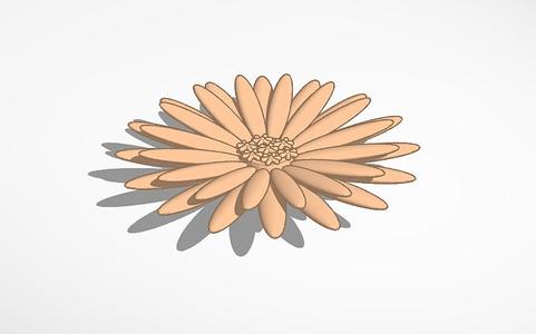 Hair Band Flower Accessory