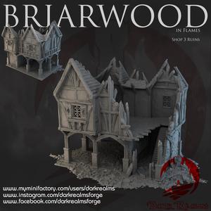 Dark Realms - Briarwood - Shop 3 Ruins