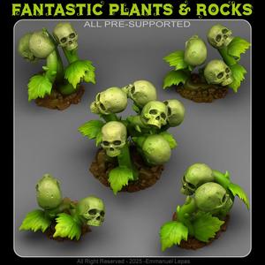 DEATHBLOOM PLANTS