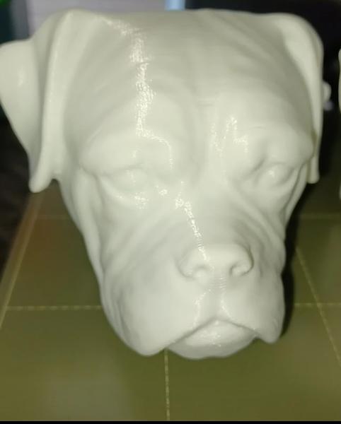 Boxer Head Wall Decor