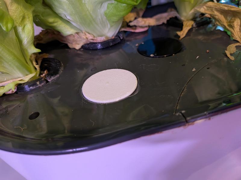 AeroGarden Cap