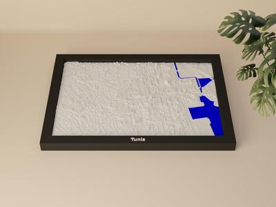 Tunis - 3D Miniature
