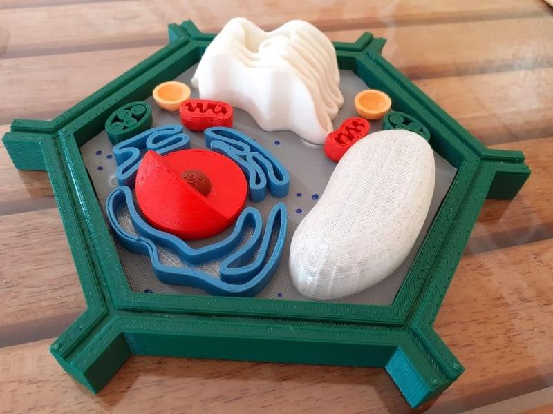 Célula Eucariota Vegetal