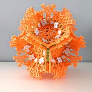748 Coral Hex Bloom