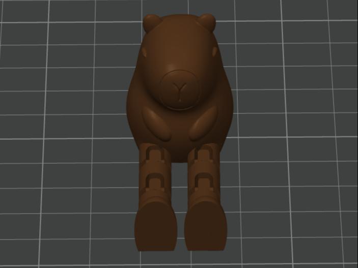 CapyBara With Legs