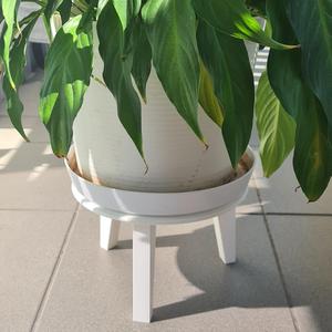 Flower pot riser