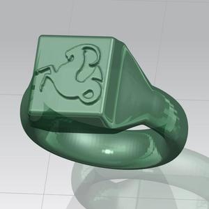 Capricorn ring
