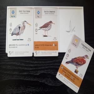 Wingspan Bird Tray