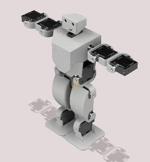 MINI HUMANOID