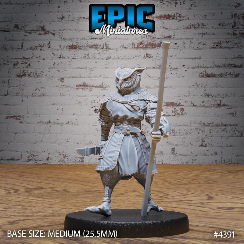 Owl Folk Monk ‧ DnD Miniature ‧ Tabletop Miniatures ‧ Gaming Monster ‧ 3D Model ‧ RPG ‧ DnDminis ‧ STL FILE