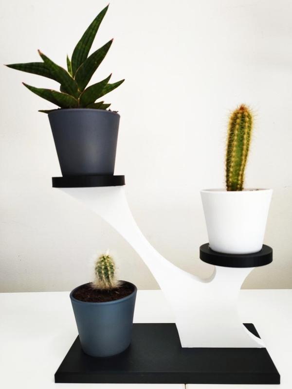 plant support
