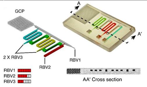 3D-printed functional,  ready-to-use microfluidic chip