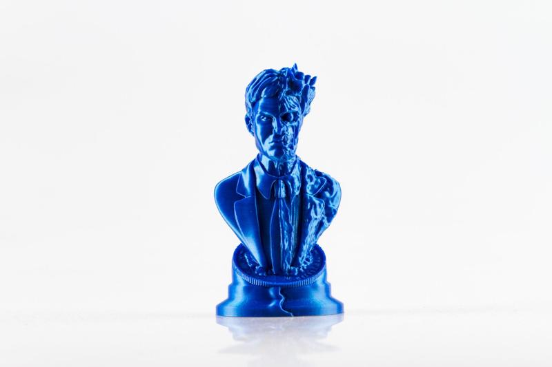 Two Face bust