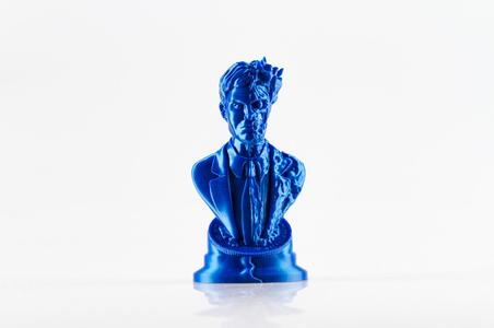 Two Face bust