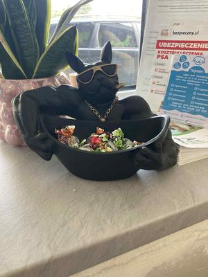 Bulldog Boss Bowl