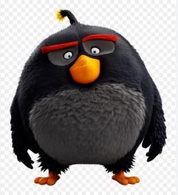 angry birds bomb