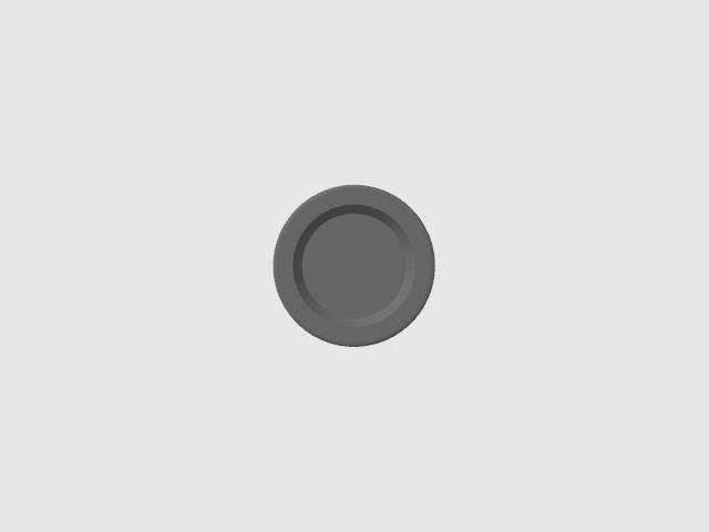 F1 in schools wheel
