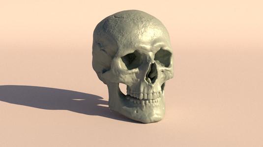 skull