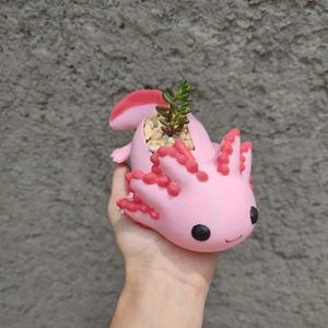Axolotl Pot Planter Ajolote Pot