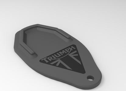 Triumph Kick Stand Pad / Plate
